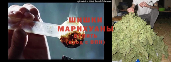 амф Аркадак