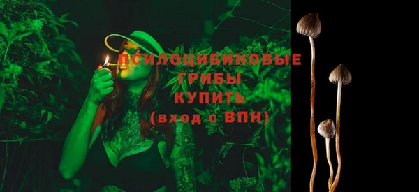 первитин Арсеньев