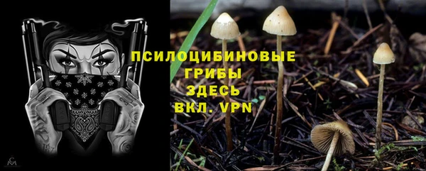 тгк Армянск