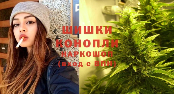 амф Аркадак