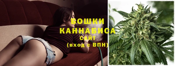 амф Аркадак
