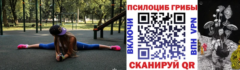 Псилоцибиновые грибы Psilocybe  блэк спрут   Новая Ладога  продажа наркотиков 